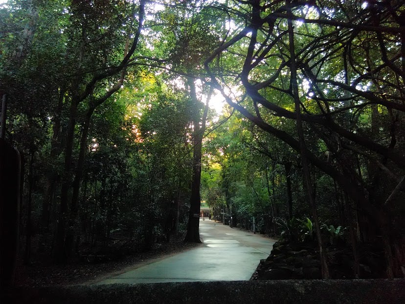 Wat Nong Pah Pong