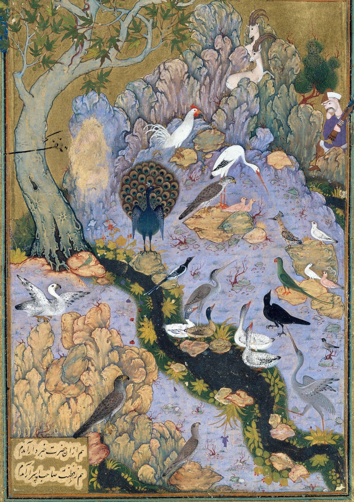 La asamblea de las aves