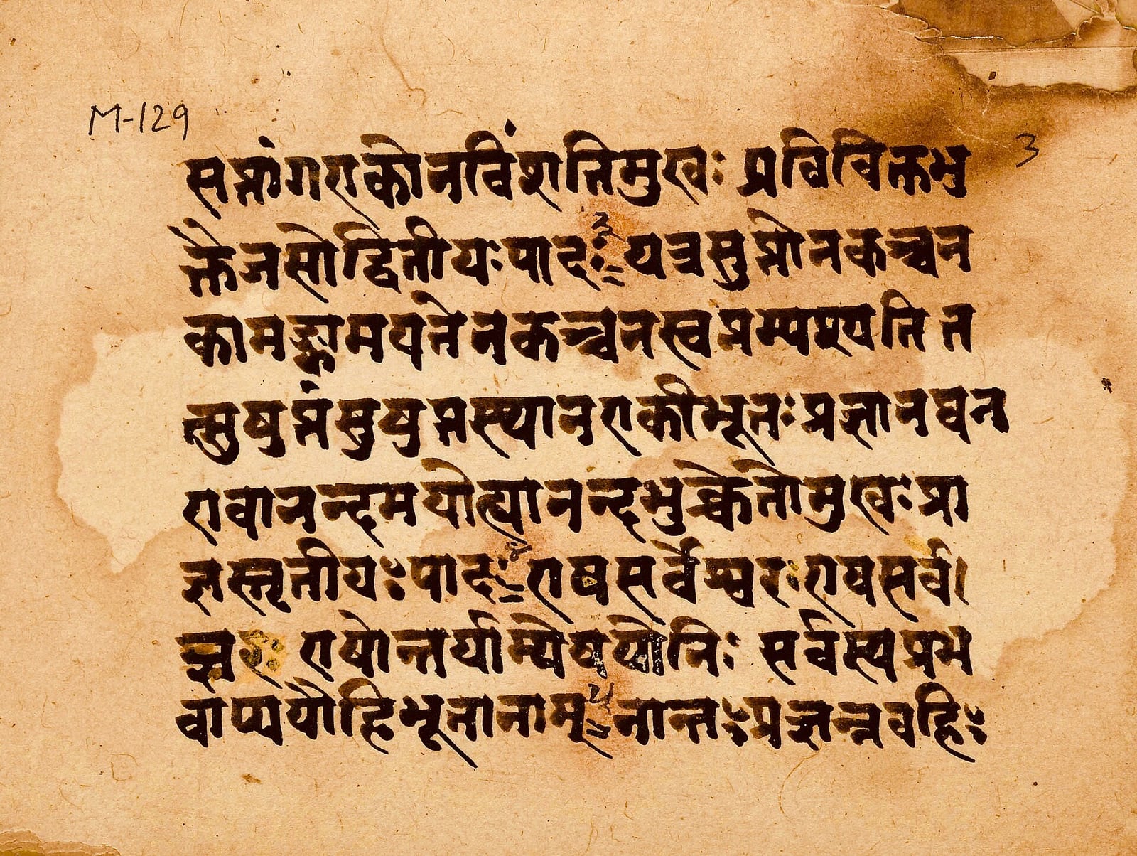 Página de un manuscrito de la Māṇḍūkya Kārikā