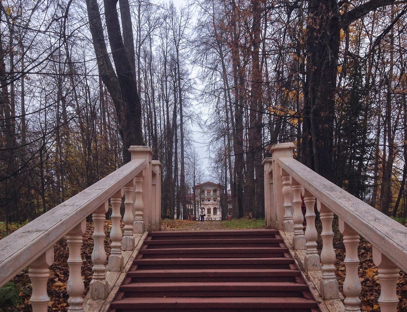 Finca de los Brianchanínov en Pokróvskoie
