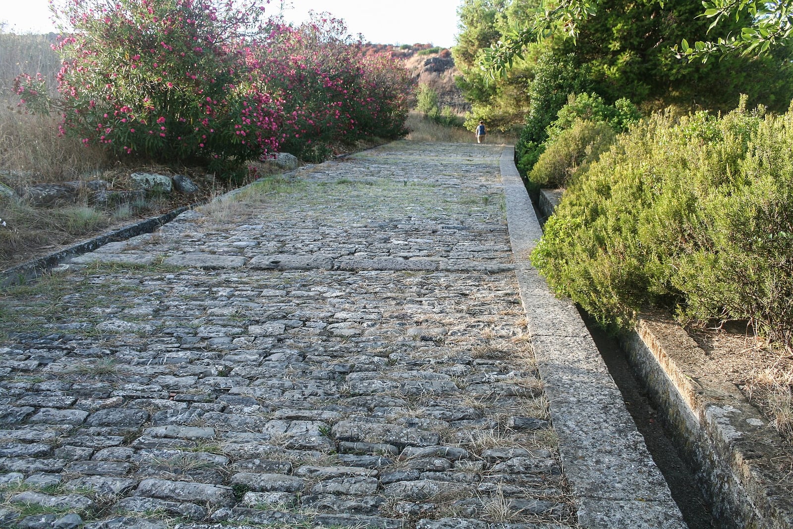 Porta Rosa de Velia (Elea)