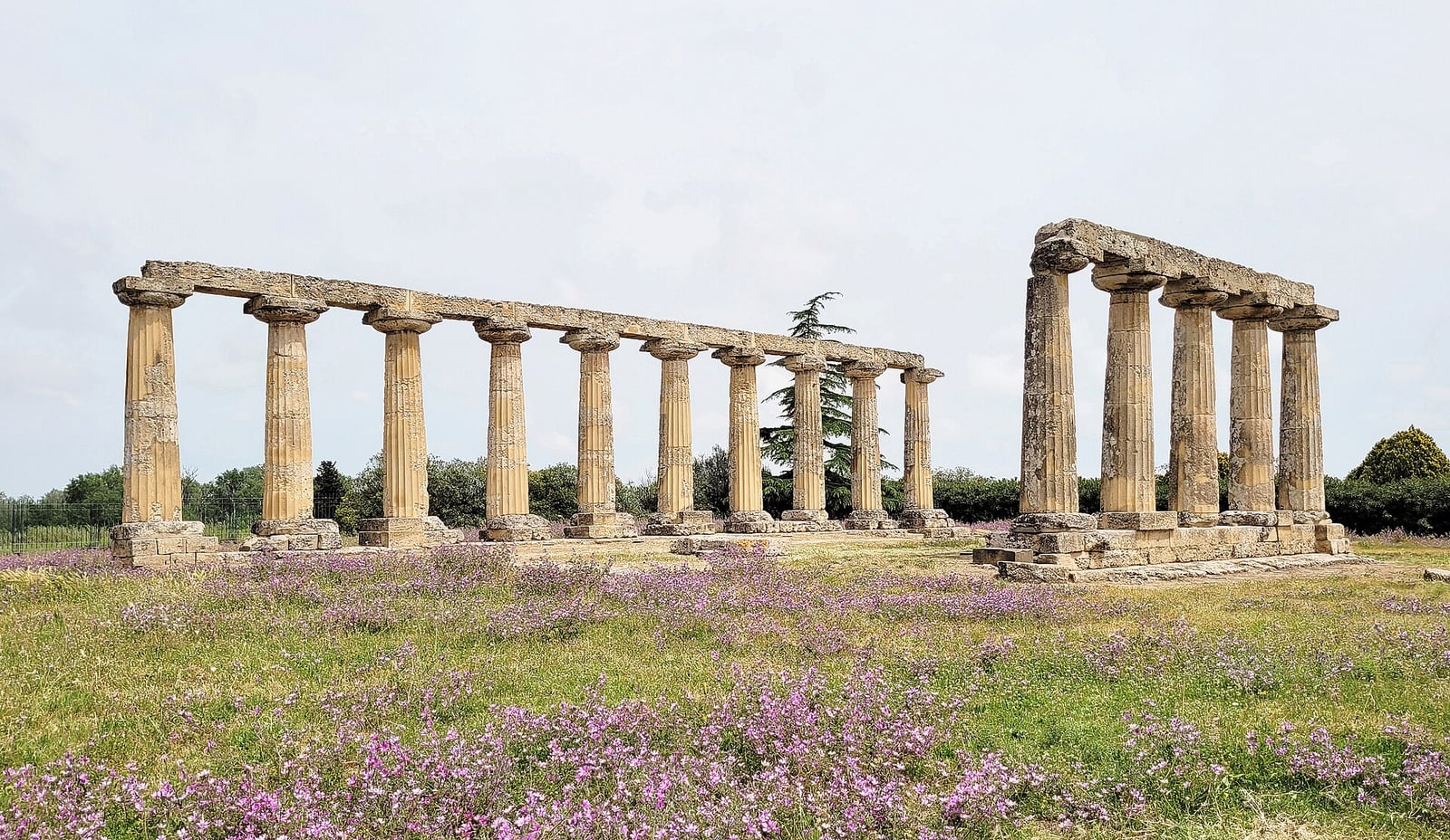 Templo de Hera en Metaponto