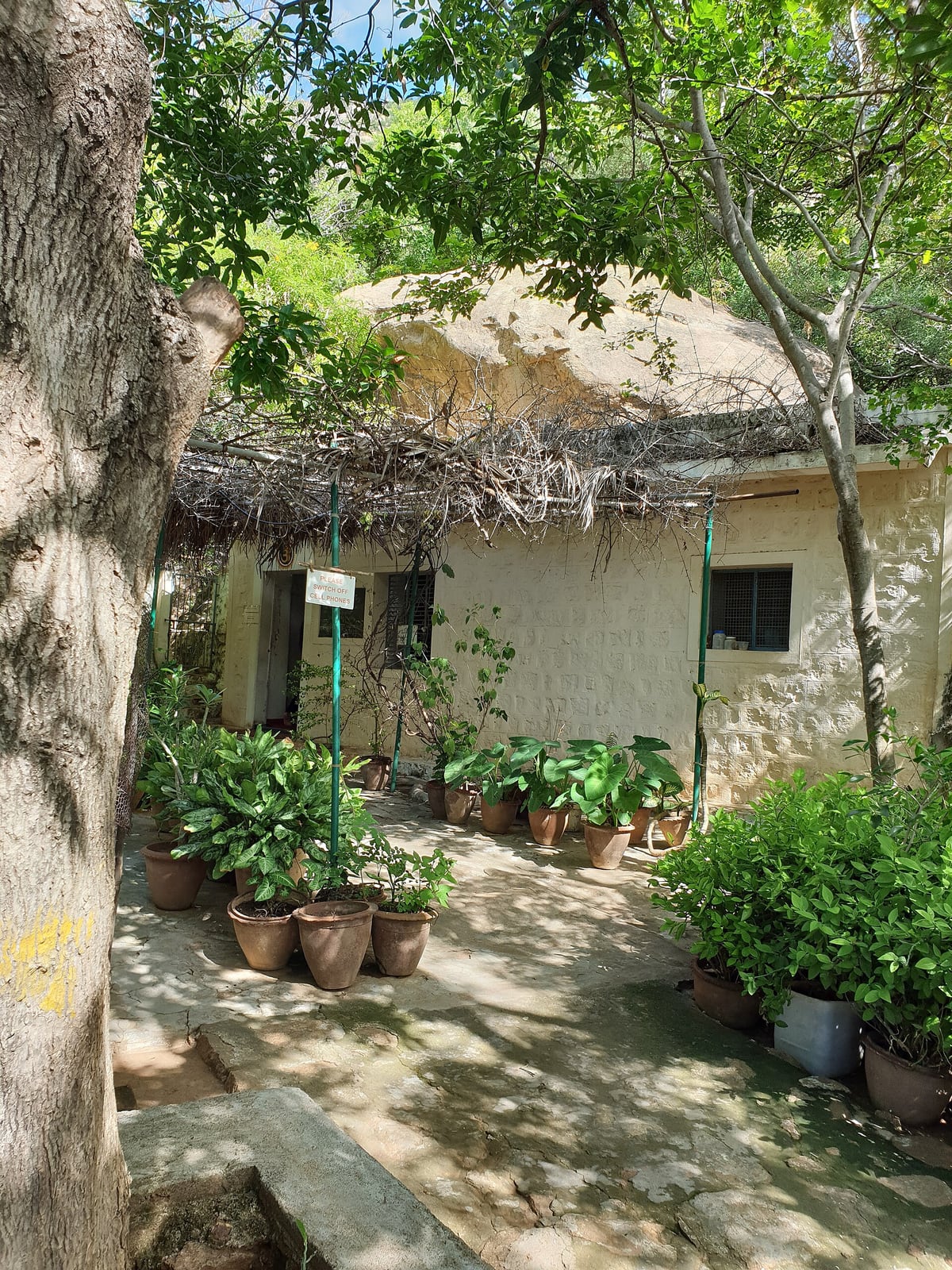 Cueva de Virupaksha, Tiruvannamalai